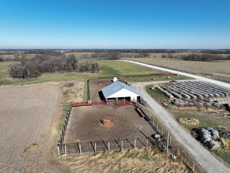 3 Cattle Barn 6 768x576