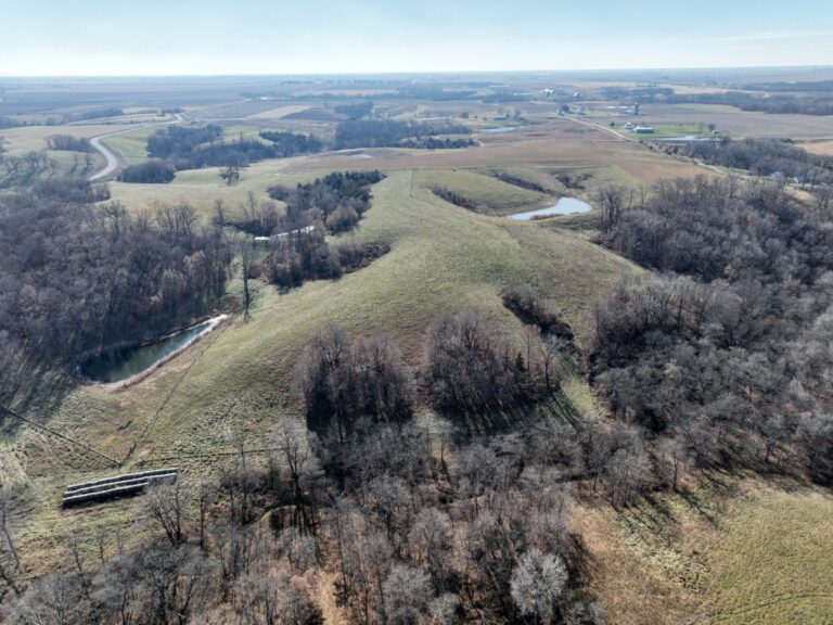 5 Looking South 3 768x576