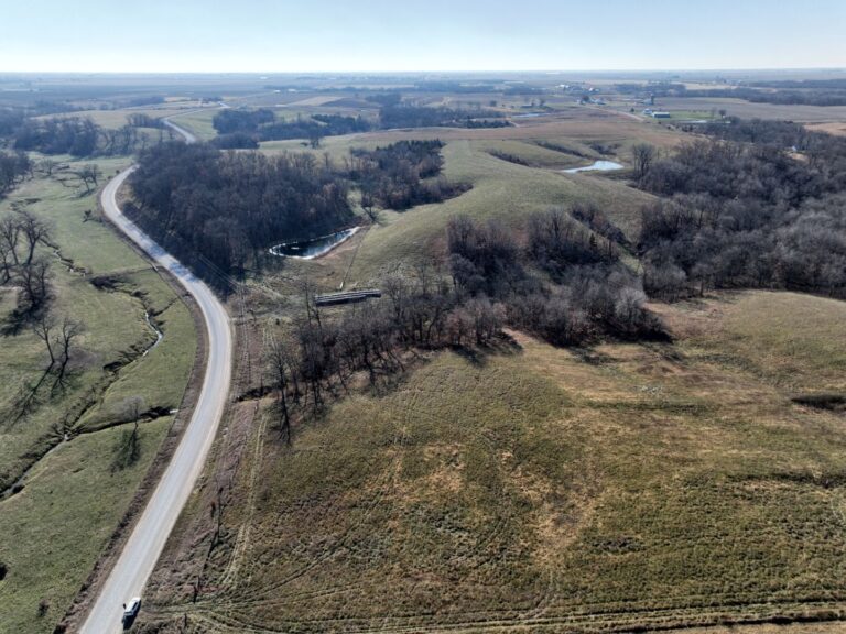 6 Looking South 2 768x576