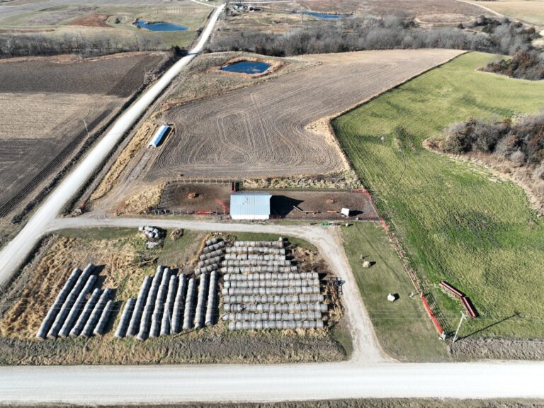 Cattle Barn 4 768x576