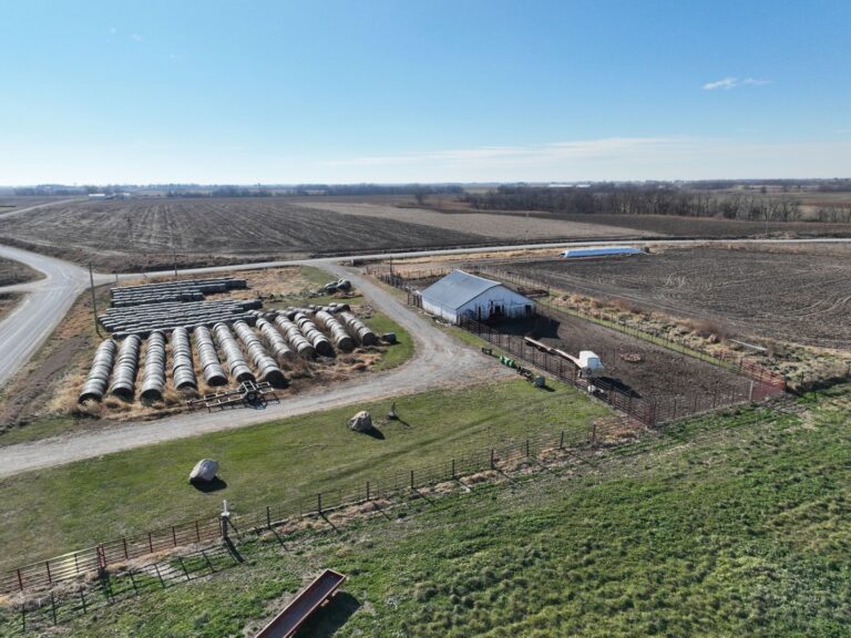 Cattle Barn 5 768x576