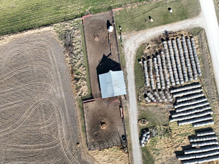 Cattle Barn 7 768x576