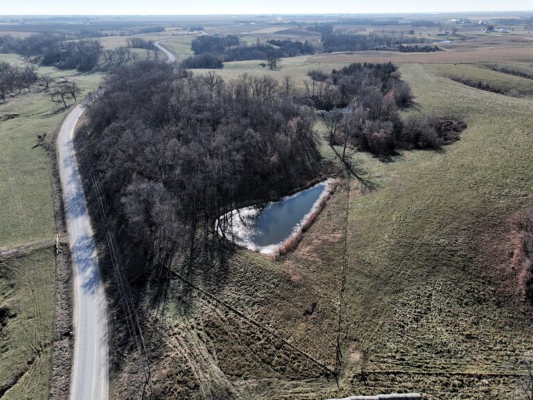 East Ponds 2 768x576