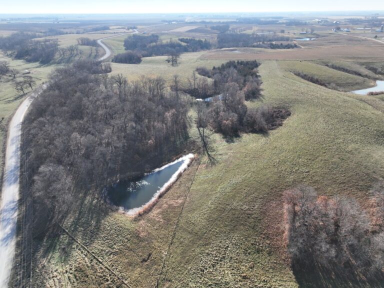 East Ponds 3 768x576