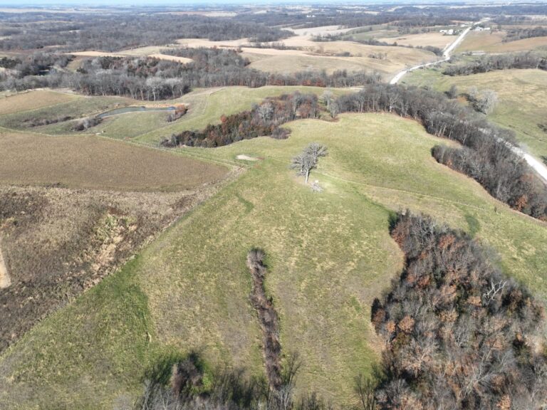 Looking North from Middle 768x576