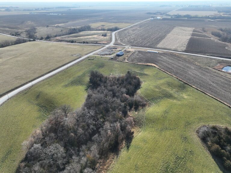 Looking South 768x576