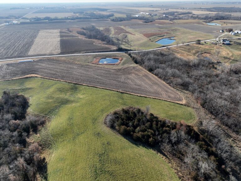 Looking South West 768x576